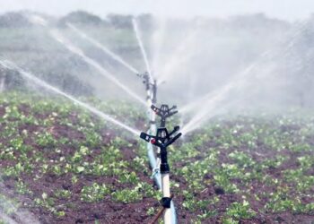 Pour l’irrigation des 3 millions d’ha de terres agricoles prévus : Le gouvernement compte innover