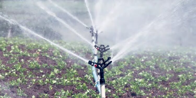 Pour l’irrigation des 3 millions d’ha de terres agricoles prévus : Le gouvernement compte innover