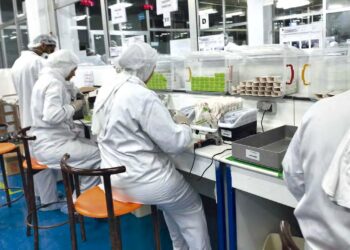 Stylos à insuline fabriqués localement : La commercialisation «avant fin Ramadhan»