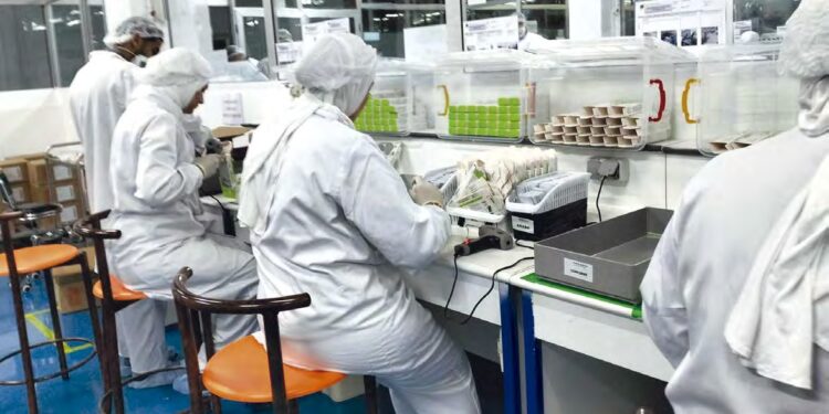 Stylos à insuline fabriqués localement : La commercialisation «avant fin Ramadhan»