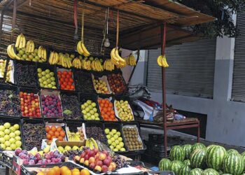 Commercialisation des produits issus de l’importation : Le dur défi de la maîtrise des prix