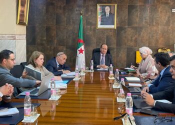 Fabrication de câbles électriques pour automobiles en Algérie : Ghrieb s'entretient avec des représentants du groupe APTIV