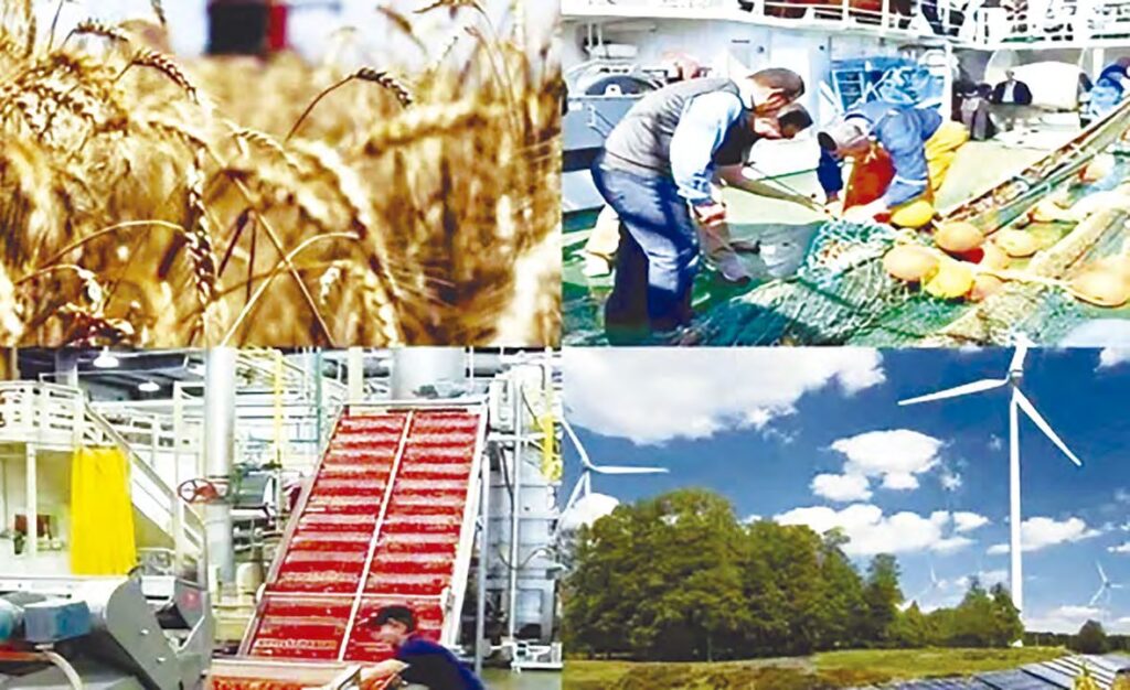 Diversification de l’économie nationale : « L’Algérie sur la bonne voie » selon la BM 