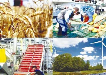 Diversification de l’économie nationale : « L’Algérie sur la bonne voie » selon la BM 