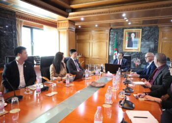 Fabrication de panneaux solaires : Un groupe chinois veut investir en Algérie