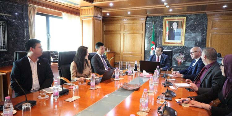 Fabrication de panneaux solaires : Un groupe chinois veut investir en Algérie