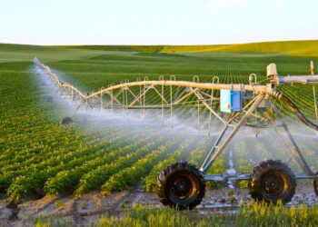 Mila : Feu vert à une étude pour l’extension des surfaces agricoles irriguées à partir du barrage de Beni Haroun
