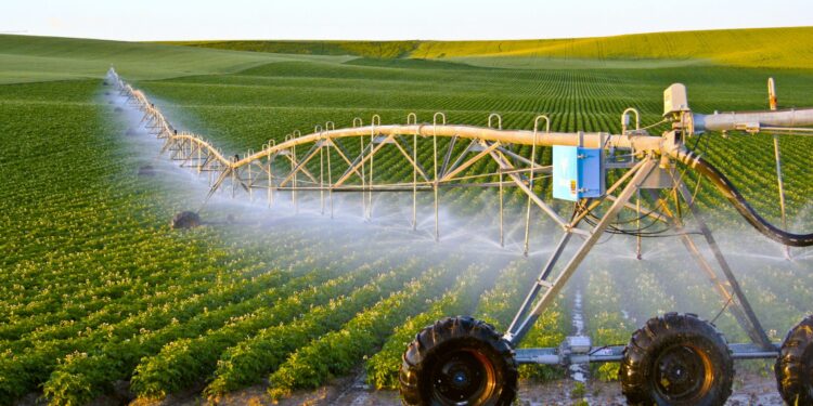 Mila : Feu vert à une étude pour l’extension des surfaces agricoles irriguées à partir du barrage de Beni Haroun