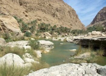 Bechar : Vers la réalisation du projet de barrage d’Oued-Labiad