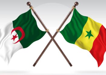 Dans le domaine de l'énergie et l'industrie pharmaceutique : Vif intérêt du Sénégal pour la coopération avec l'Algérie 