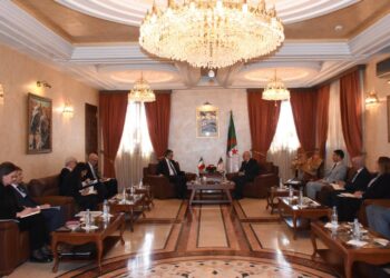 Le ministre de l'Agriculture, du Développement rural et de la Pêche, Youcef Cherfa a examiné, mardi à Alger, avec M. Fabrizio Saggio, conseiller diplomatique de la présidente du Conseil des ministres d'Italie, Giorgia Meloni et responsable du Plan «Mattei pour l'Afrique»