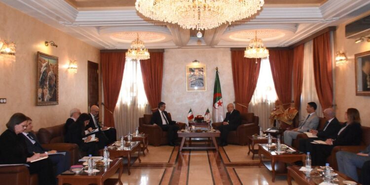 Le ministre de l'Agriculture, du Développement rural et de la Pêche, Youcef Cherfa a examiné, mardi à Alger, avec M. Fabrizio Saggio, conseiller diplomatique de la présidente du Conseil des ministres d'Italie, Giorgia Meloni et responsable du Plan «Mattei pour l'Afrique»