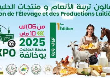 Tizi-Ouzou : Le salon de l'élevage et des productions laitières reporté d’une semaine