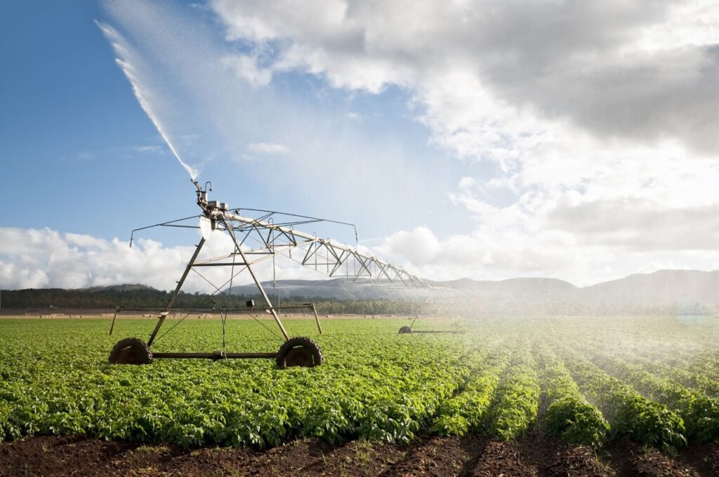 Projet de création d’un centre d’excellence et lancement de 8 nouvelles spécialités agricoles : L’Agriculture renforce son potentiel