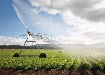 Projet de création d’un centre d’excellence et lancement de 8 nouvelles spécialités agricoles : L’Agriculture renforce son potentiel