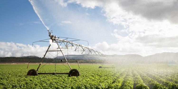 Projet de création d’un centre d’excellence et lancement de 8 nouvelles spécialités agricoles : L’Agriculture renforce son potentiel