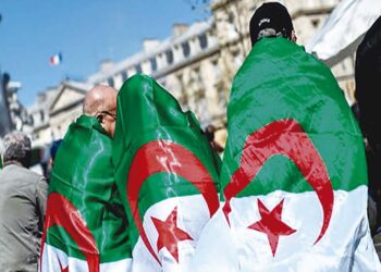 Apports de la diaspora à l’économie nationale : L’Algérie a besoin d’un grand dessein