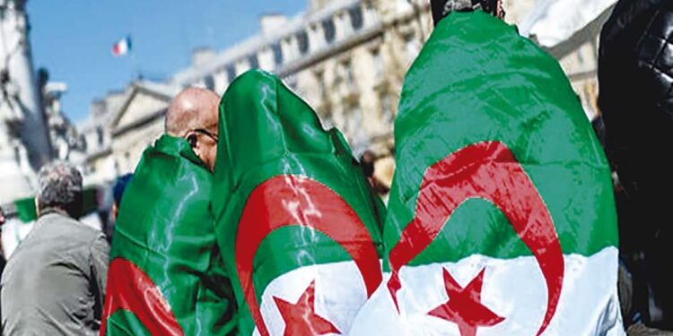 Apports de la diaspora à l’économie nationale : L’Algérie a besoin d’un grand dessein