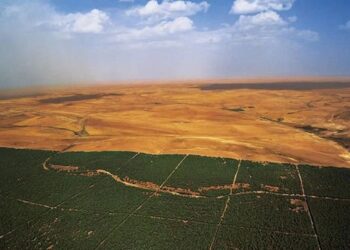 Virée dans la zone du barrage vert de Bouira : Endiguer la désertification et redonner vie à la steppe