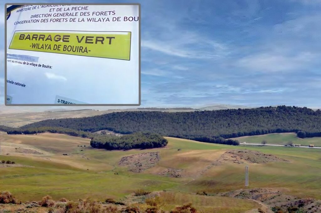Virée dans la zone du barrage vert de Bouira : Endiguer la désertification et redonner vie à la steppe