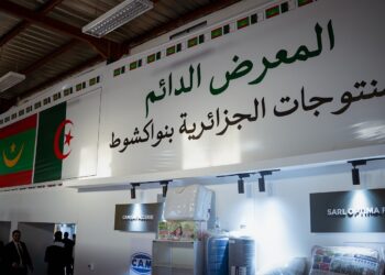 Porte stratégique vers les pays d'Afrique de l'Ouest : Les entreprises algériennes ciblent la Mauritanie