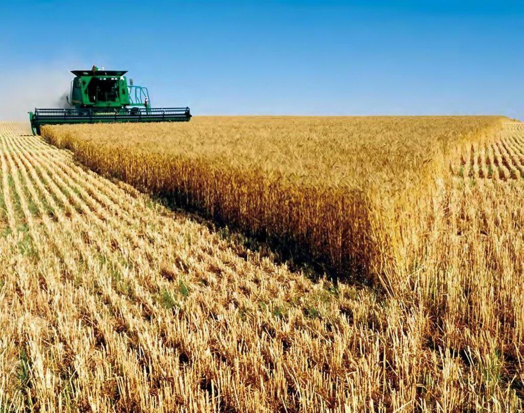 L’indivision du foncier agricole : Atout ou frein au développement agricole ?