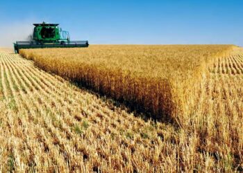 L’indivision du foncier agricole : Atout ou frein au développement agricole ?