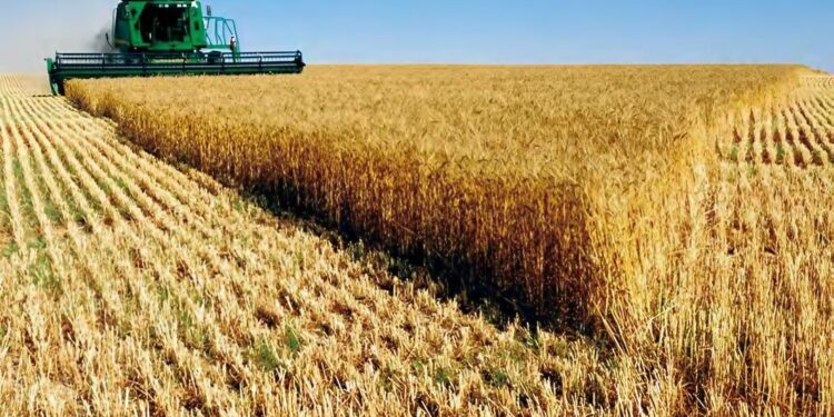L’indivision du foncier agricole : Atout ou frein au développement agricole ?