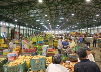 Régulation du marché et stabilité des prix : Les marchés de gros seront transformés en centres d’achat