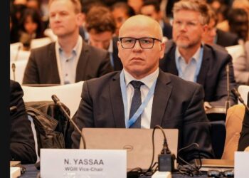 Le secrétaire d'Etat auprès du ministre de l'Energie, chargé des Energies renouvelables, Noureddine Yassaâ