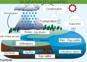 Salinité des cours d’eau : Un phénomène hydrologique et environnemental complexe