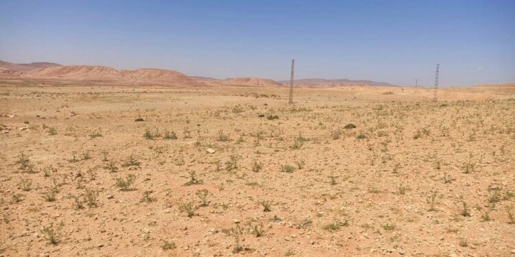 Assainissement du foncier agricole : Récupération de plus de 26000 ha de terres agricoles à Timimoun