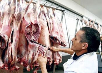Viandes rouges : Les prix se maintiennent à des niveaux stables