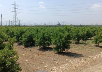 Raccordement des exploitations agricoles à l'électricité : De nouvelles mesures annoncées par Arkab