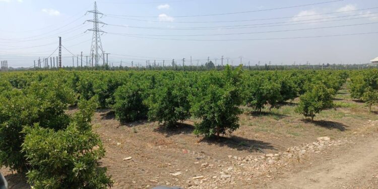 Raccordement des exploitations agricoles à l'électricité : De nouvelles mesures annoncées par Arkab