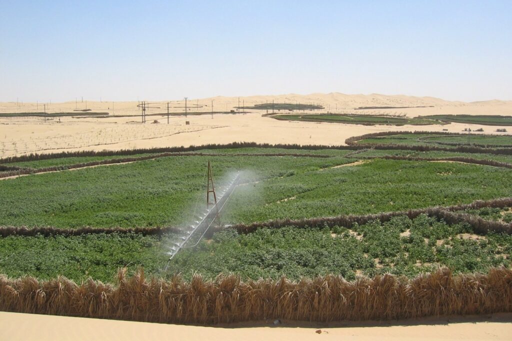 Ouargla : Nécessité d’une feuille de route pour l’utilisation rationnelle de l’eau d’irrigation agricole