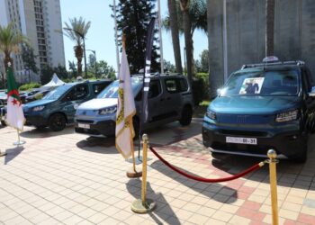 Véhicules "Fiat" fabriqués localement : Livraison du premier lot aux chauffeurs de taxi