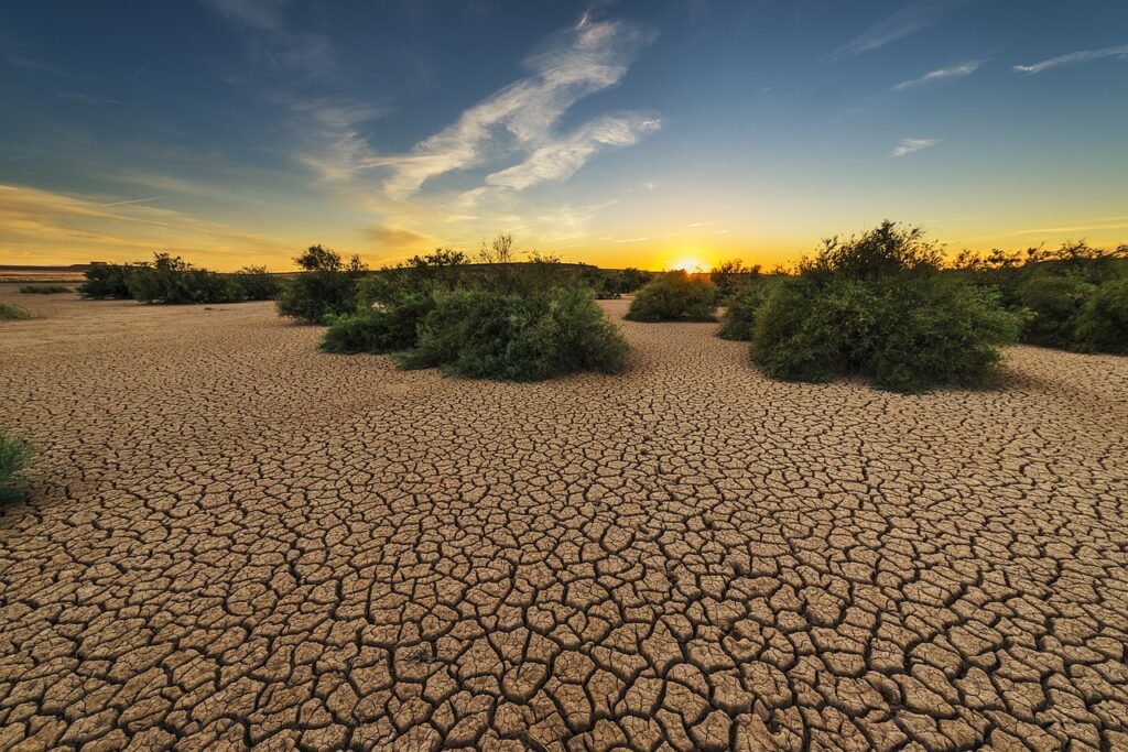 Oran : Le changement climatique et ses impacts au centre d’un Colloque international