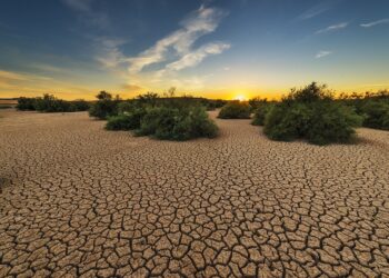 Oran : Le changement climatique et ses impacts au centre d’un Colloque international