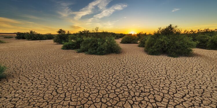 Oran : Le changement climatique et ses impacts au centre d’un Colloque international