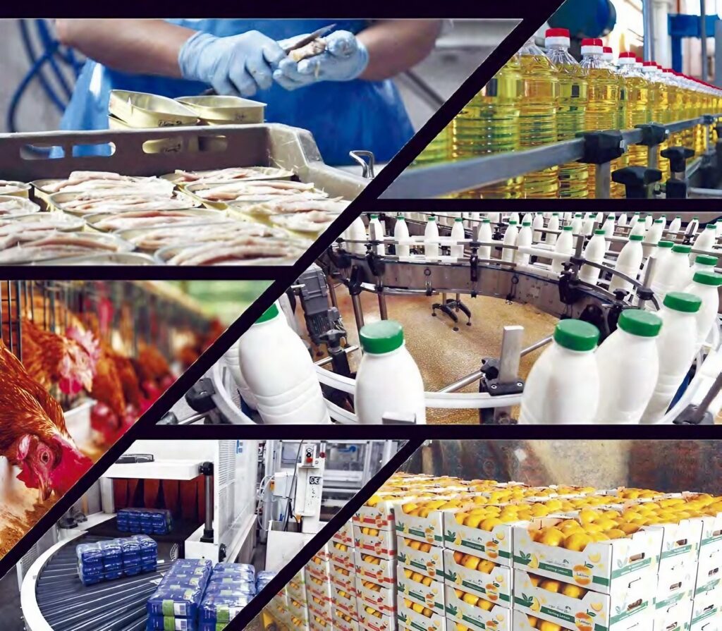 Produire, transformer, exporter : Les nouveaux horizons de la production agricole
