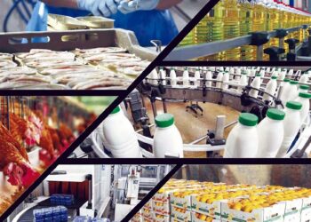 Produire, transformer, exporter : Les nouveaux horizons de la production agricole