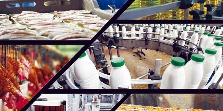 Produire, transformer, exporter : Les nouveaux horizons de la production agricole