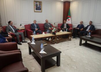 Commerce extérieur : Examen des moyens de facilitation des flux de marchandises et services vers le marché libyen