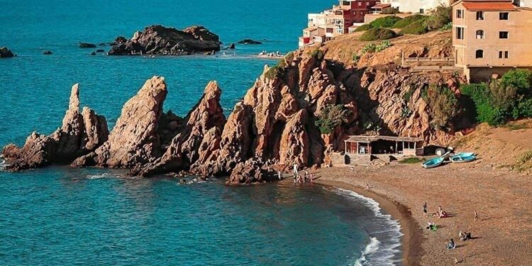 Tipasa : 50 plages autorisées à la baignade pour la saison estivale 2025