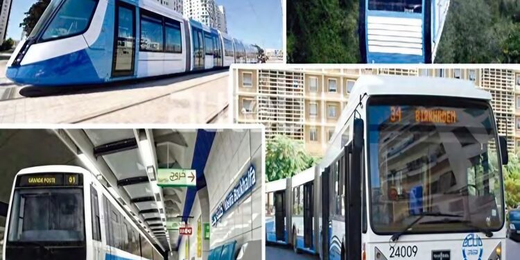 Transport : Quelle politique pour l’Algérie ?