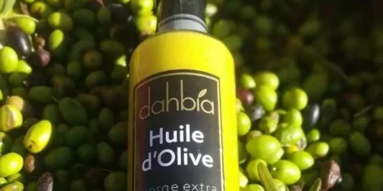 «Dahbia», l’huile d’olive des Hauts Plateaux : Ce trésor qui séduit les jurys du monde entier