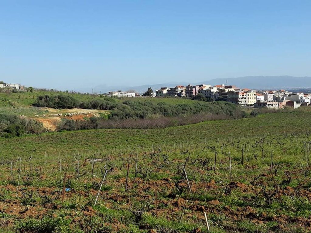 régularisation des terres agricoles
