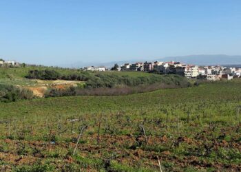régularisation des terres agricoles