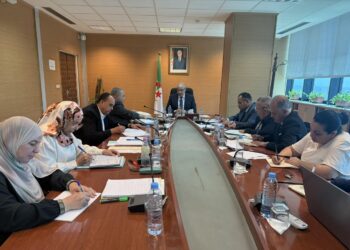 Présidant une réunion, au siège du ministère, consacrée à l'évaluation des mesures prises pour garantir l'approvisionnement du marché, notamment dans les wilayas du Sud, M. Zitouni a souligné "la nécessité de renforcer les mécanismes de distribution et d'assurer la disponibilité des produits essentiels, en multipliant les points de vente de proximité pour atteindre un équilibre régional dans la distribution"